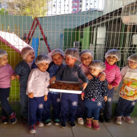 Educação Infantil _ Clique Aqui  e Sabia Mais